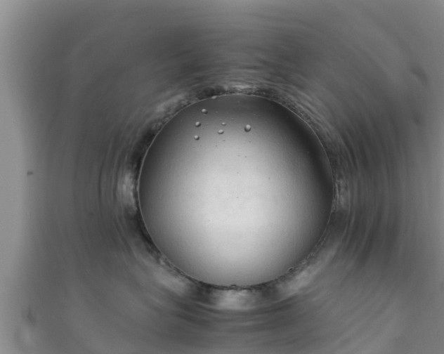 X0000111600575200907231238
