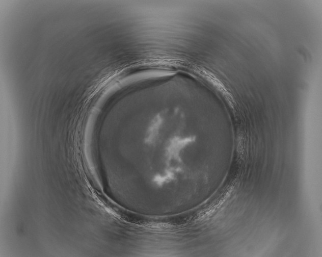 X0000111600577200907231237