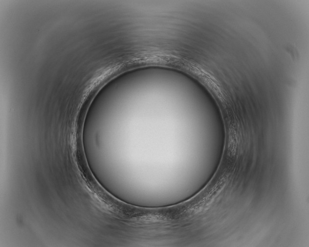 X0000111600578200907231237