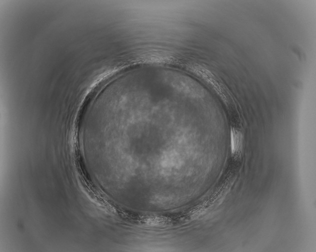 X0000111600579200907231237