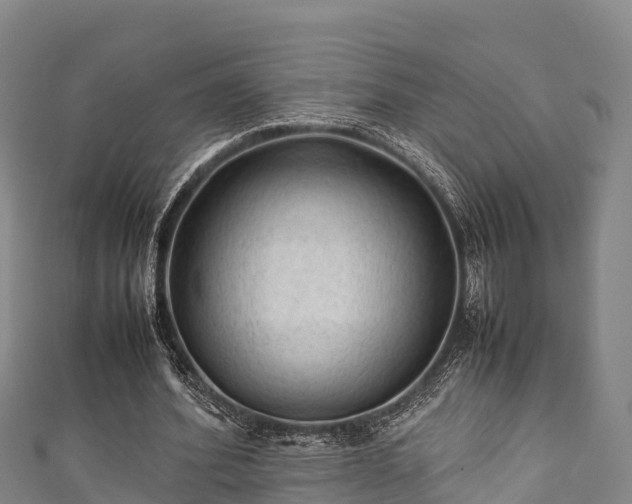 X0000111600580200907231237