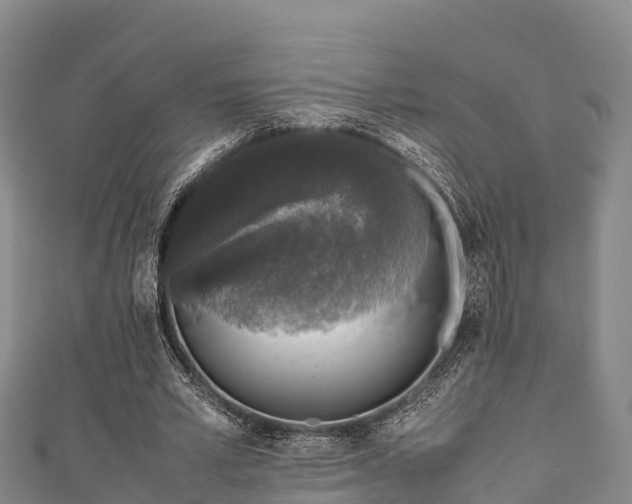 X0000111600581200907231237