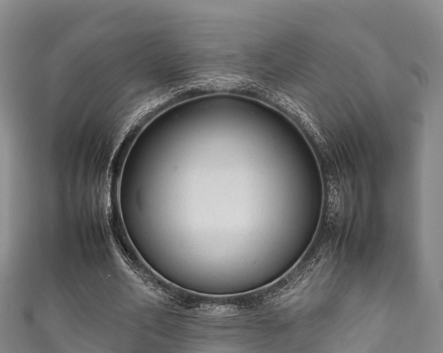 X0000111600582200907231237