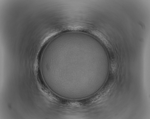 X0000111600583200907231237