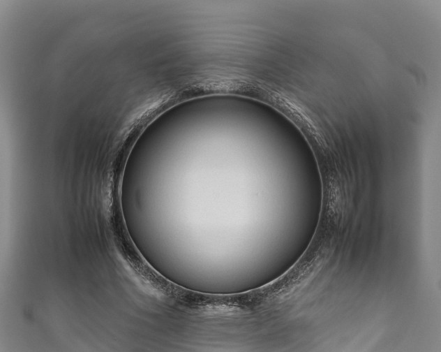 X0000111600586200907231237