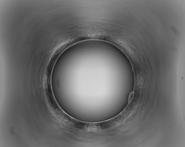 X0000111600587200907231237