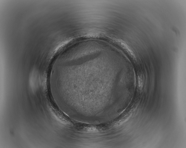 X0000111600588200907231237