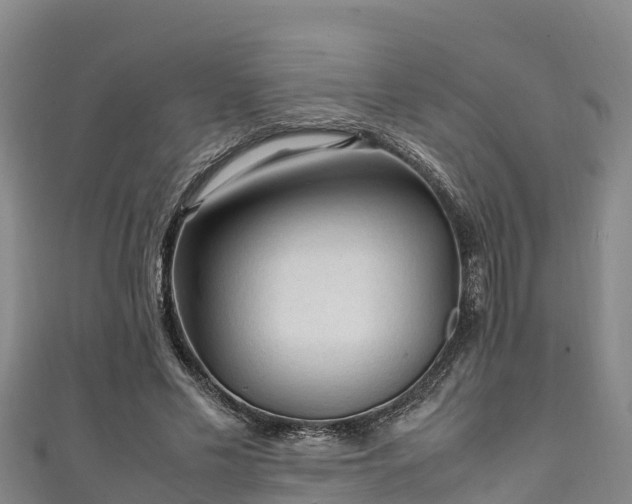 X0000111600589200907231237
