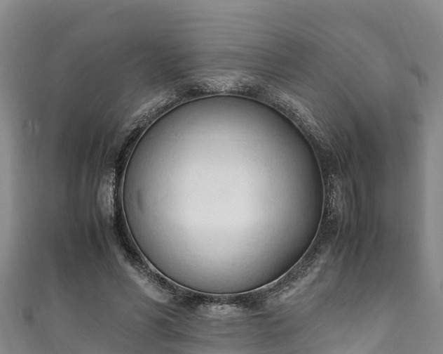 X0000111600590200907231237