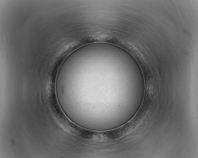 X0000111600591200907231237