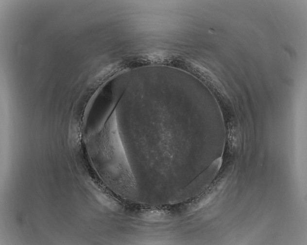 X0000111600593200907231237