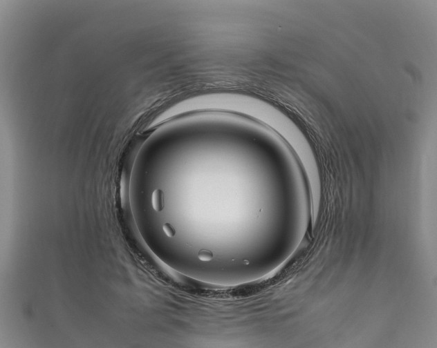 X0000111600595200907231237