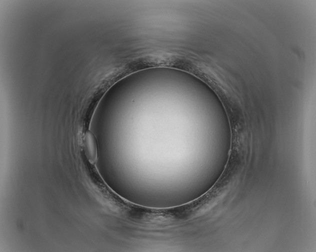 X0000111600597200907231237