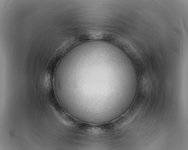 X0000111600598200907231237