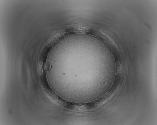 X0000111600599200907231237