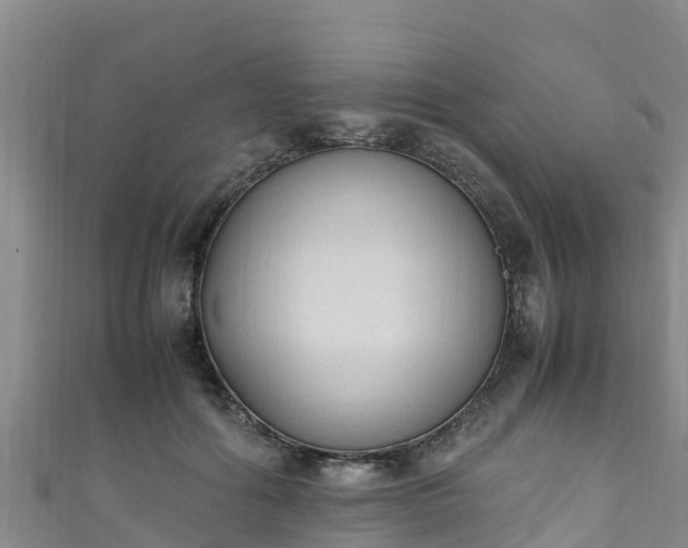 X0000111600602200907231237