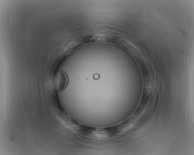 X0000111600603200907231237