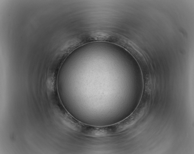 X0000111600604200907231237