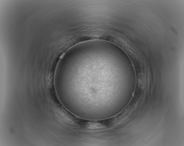 X0000111600605200907231237