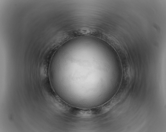 X0000111600606200907231237