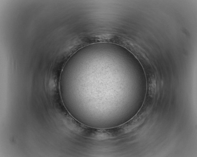 X0000111600608200907231237