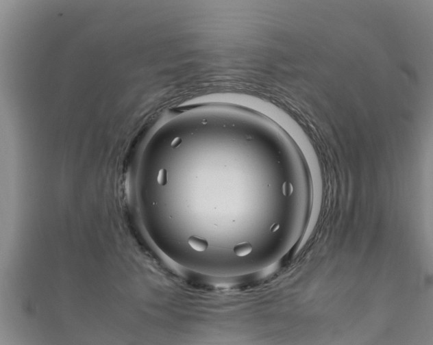 X0000111600609200907231237