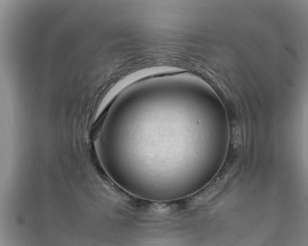 X0000111600613200907231237