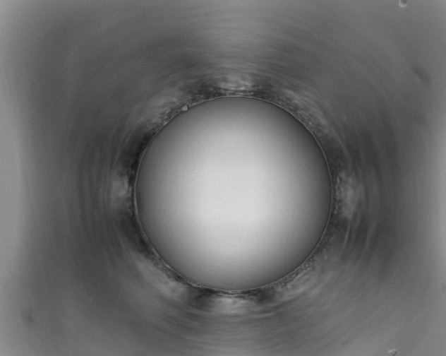 X0000111600614200907231237