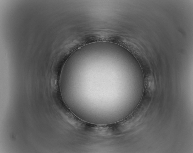 X0000111600615200907231237