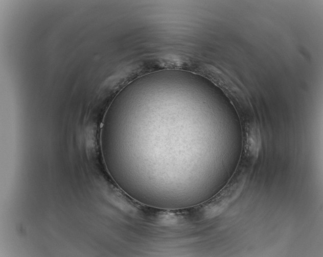X0000111600616200907231237