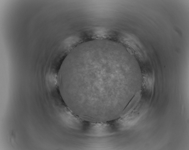 X0000111600621200907231237