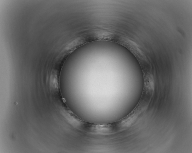 X0000111600622200907231237