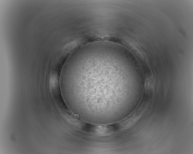 X0000111600623200907231237