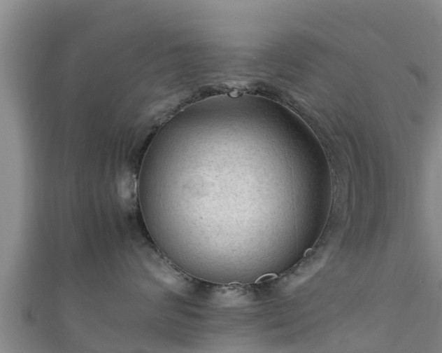 X0000111600624200907231237