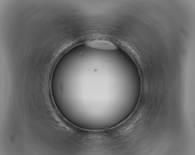 X0000111600625200907231236