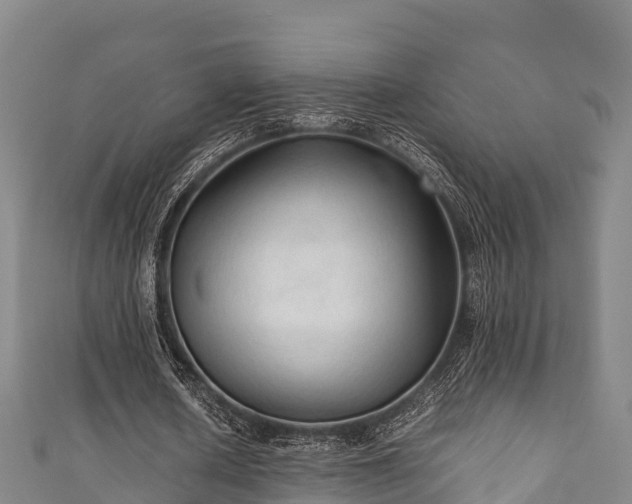 X0000111600626200907231236