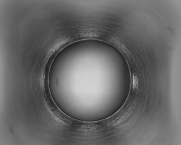 X0000111600627200907231236
