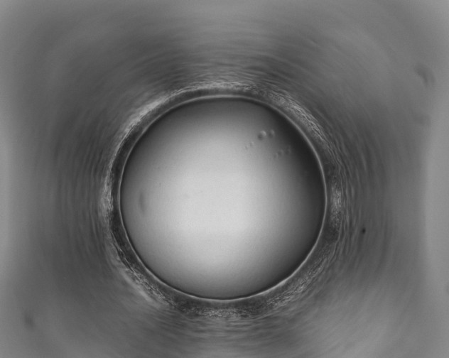 X0000111600628200907231236