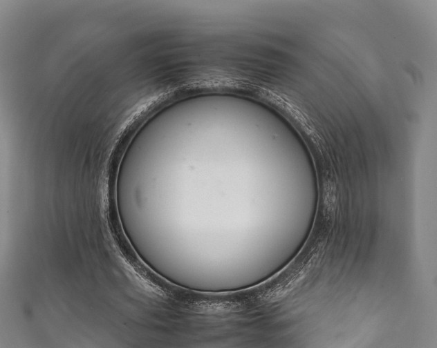 X0000111600629200907231236