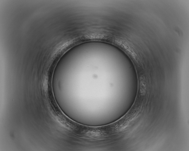 X0000111600631200907231236