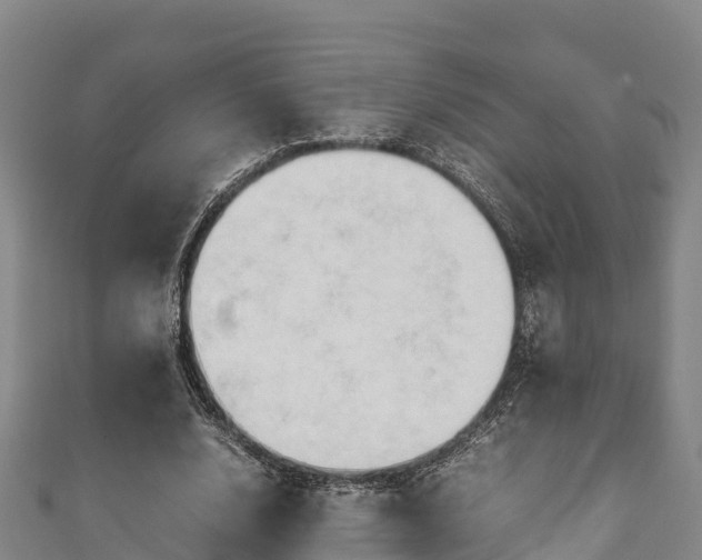 X0000111600632200907231236