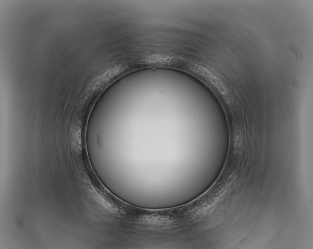 X0000111600633200907231236