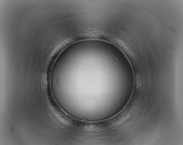 X0000111600634200907231236