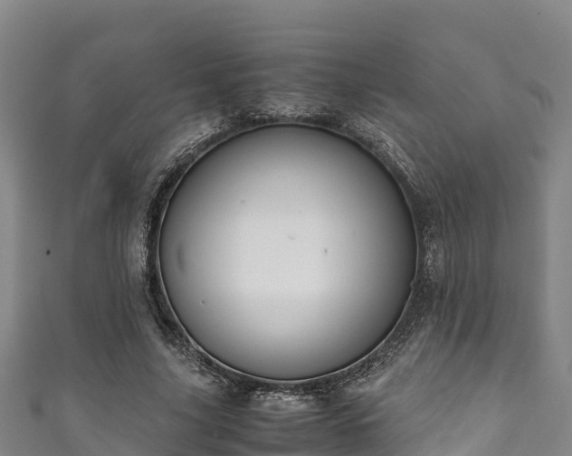 X0000111600635200907231236
