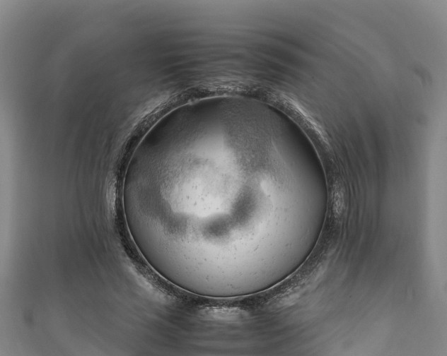 X0000111600637200907231236
