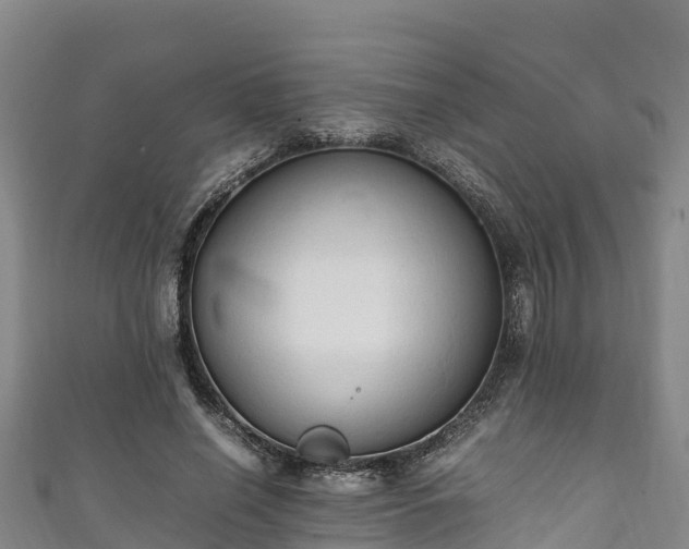 X0000111600638200907231236