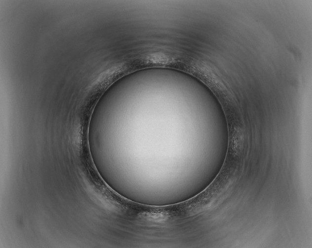 X0000111600639200907231236