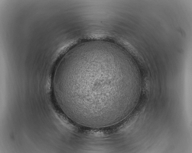 X0000111600640200907231236