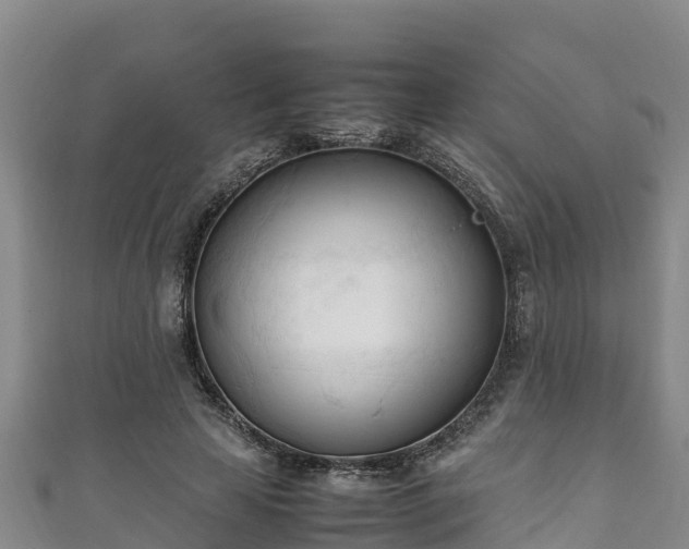 X0000111600641200907231236