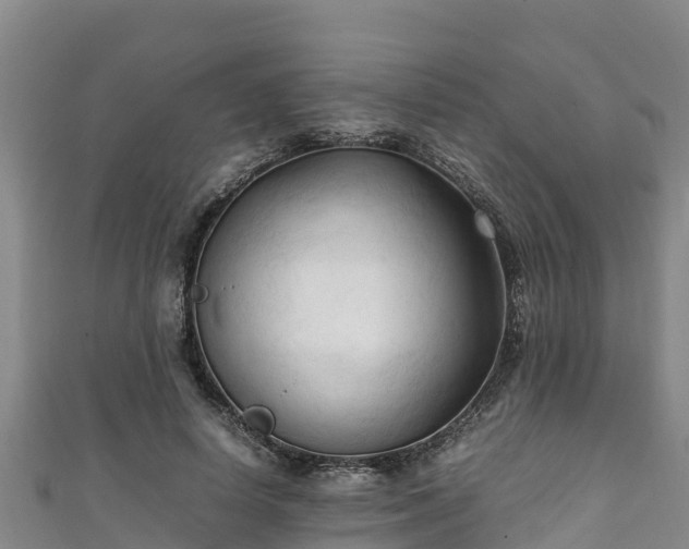 X0000111600642200907231236